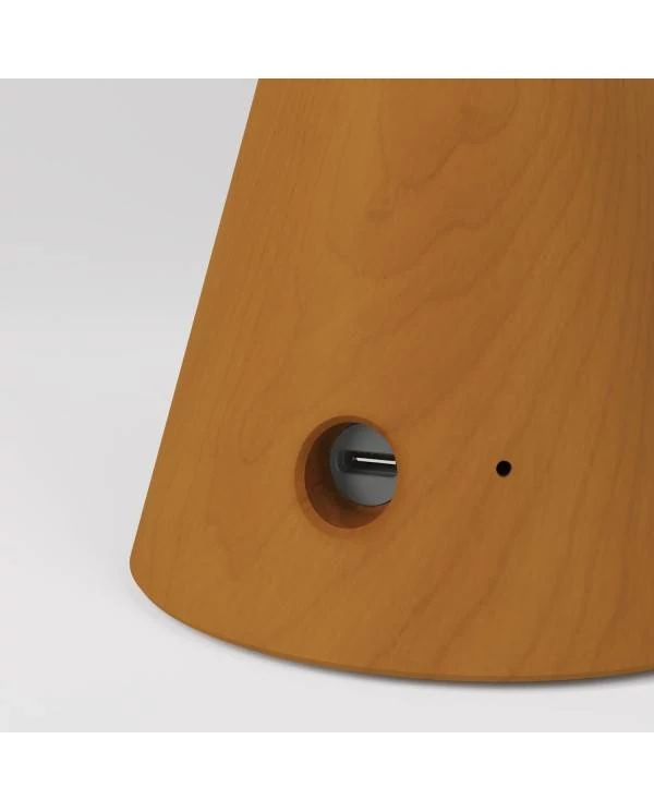 Tragbare, wiederaufladbare LED Leuchte Cabless01 mit Globe Glühbirne mit silberfarbener Kopfspiegelung