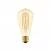 LED Glühbirne Golden Carbon Line Cage Filament Edison ST64 7W 640Lm E27 2700K Dimmbar - C54