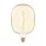 LED Glühbirne Gold Ellipse 170 8,8W 806Lm E27 2200K Dimmbar - H04