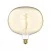 LED Glühbirne Gold Ellipse 220 8,8W 806Lm E27 2200K Dimmbar - H05