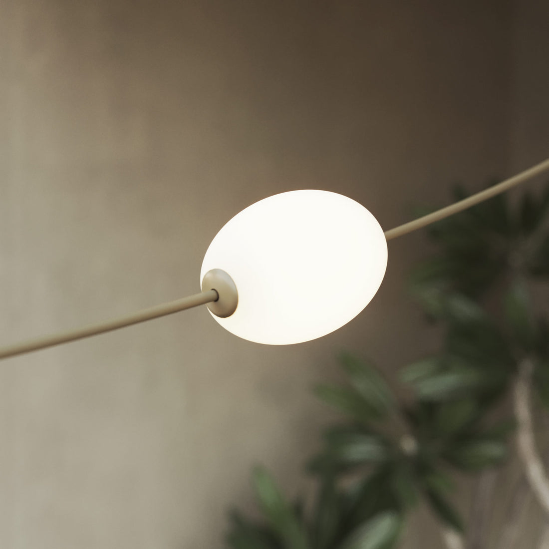 <strong>Diffuses, gleichmäßiges Licht</strong>