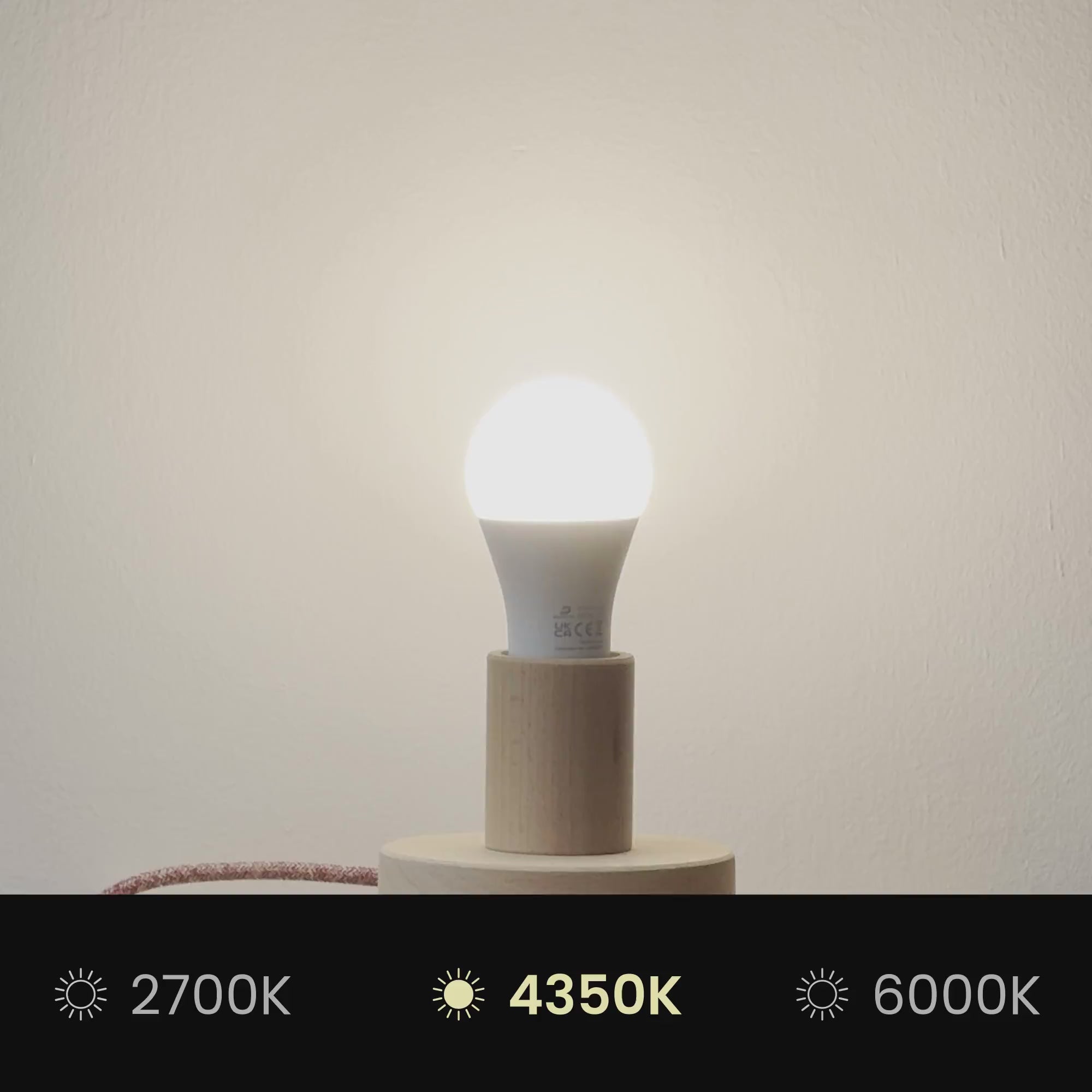 Video laden: Lampenschirm Impero S mit E27-Fassung für Tischlampe oder Wandleuchte - Made in Italy - Cinette Aragosta